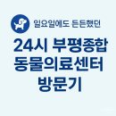 지에스25부평센터 | 일요일에도 든든했던 24시 부평종합동물의료센터 방문기