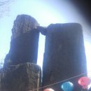 김남순농장 이미지