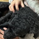 산들민박 이미지