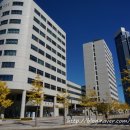 부경대학교(대연캠퍼스) 이미지