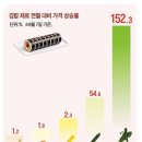 김밥에서 사라지는 시금치 이미지