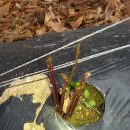 하수농장 이미지