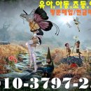 가나 전집 이미지