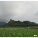 추사교차로 1 이미지