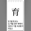 류(流) 이미지