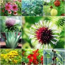 나눔허브 이미지