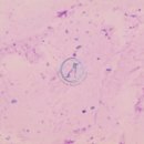 오케이메디컬 이미지