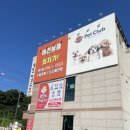 댕댕아 학교가자 이미지