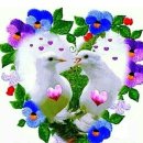 🌾이 뜻만 알아도 인생(人生)이 달라진다 .🌱 이미지