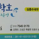 송지호 굿모닝하우스 이미지