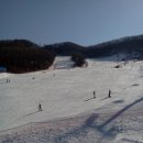 양지파인리조트 이미지