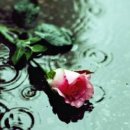 드림밸리공인중개사사무소 이미지