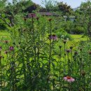 소희꽃농원 이미지