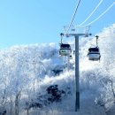 풍경스케치(주간) | 가족 겨울여행의 성지_1박2일 무주여행지 추천, 덕유산 리조트, 카라반캠핑 고요