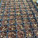 기필농장 이미지