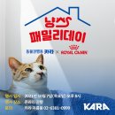 냥스 이미지