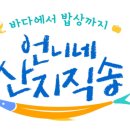정언니네 이미지