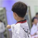 서초원도체육도장 | 우리 아이에게 꼭 맞는 메이플자이 태권도 교육, 한체대 웅비에서 찾은 특별함