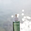 비앤에스 이미지