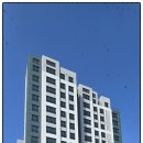 GS25가정센트럴 이미지