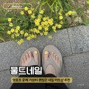물드네일