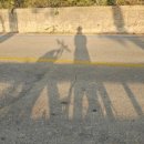 국토종주자전거길1-80 이미지