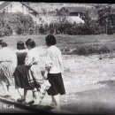 삼영농장 이미지