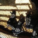 승환목장 이미지