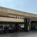 [서울] 마곡나루 맛집 &#34;커피에 꽃을 담다&#34; 내돈내산 후기