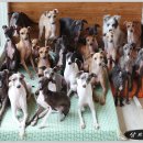 샴프네집 이미지