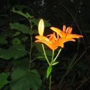 함께사는세상(주) 이미지