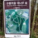 구룡산성 이미지