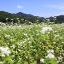 봉화드림펜션 이미지