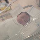 제왕소라 | 삼성미즈 제왕절개 후기 [수술 1일차, 2일차]