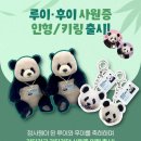 바오시 이미지