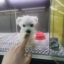 슈나기획