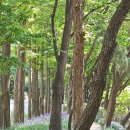 햇빛누리 이미지