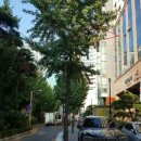 대림그린오피스텔 이미지