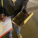 대륙부분정비 | 이스탄불을 다녀왔는데 말이죠 - 3박 겨울 이스탄불 루트, 고등어케밥, 메뉴 추천, 페리와 트램타기...