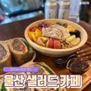 카페모음