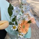 로지마이포지 이미지