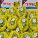 현가네 이미지