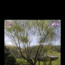 범어리 워터파크 이미지