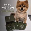 고기맛당 | 기호성 높은 강아지화식 추천 유기농 인증 그린테일 오킷 닭고기 맛 후기