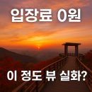 가을운동화빨래터 | [대구 앞산해넘이전망대 가을 일몰 여행] | &#34;60대도 걷기 좋은 무장애 힐링 코스&#34;