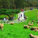 청암목장 이미지