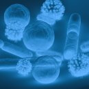 광교초등학교 이미지