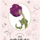 보태니컬 아트(기초) 이미지