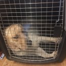 플레이 바우 이미지