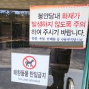 팔봉공설운동장 이미지